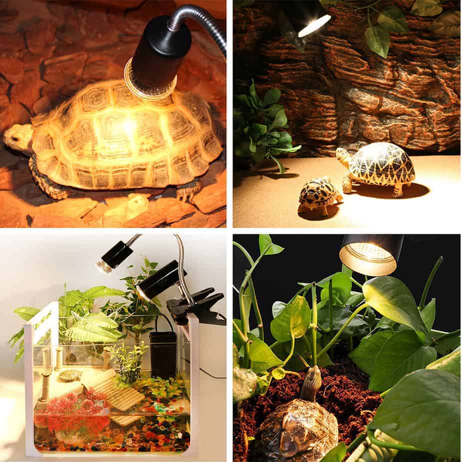 Lampe Uv Et Chauffante Pour Tortue Terrestre Truffaut